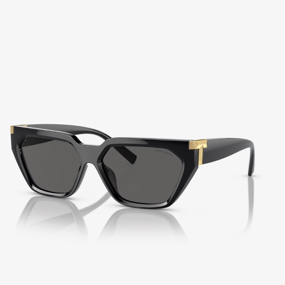 Tiffany & Co TF4205U Sunglasses